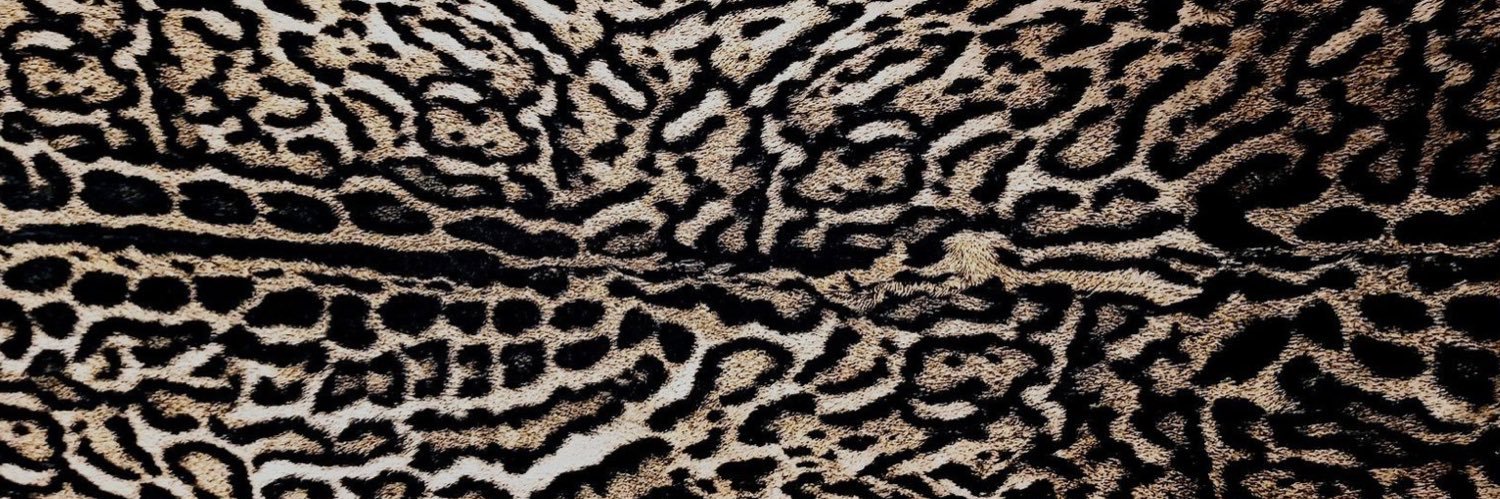 gianarai's profile banner image