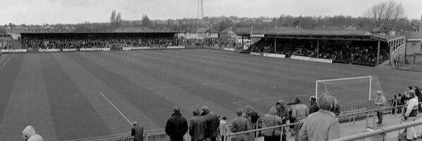 Sean Gosling, Toby & Ted 🐶🐾 banner