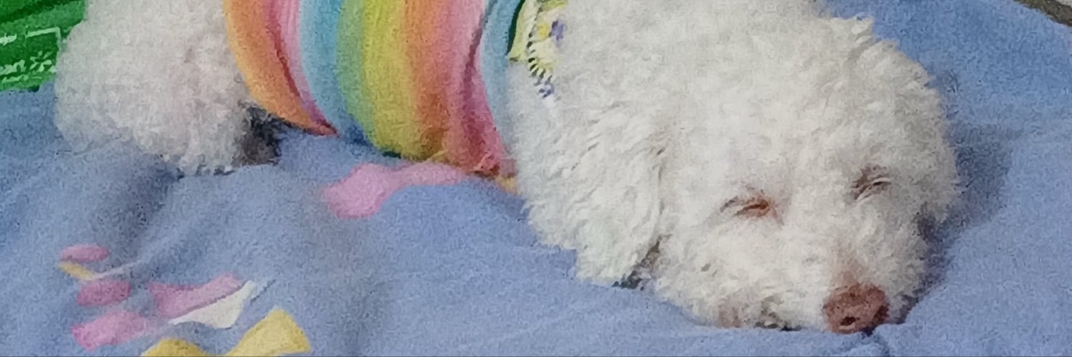 DmsIsKarma's profile banner image