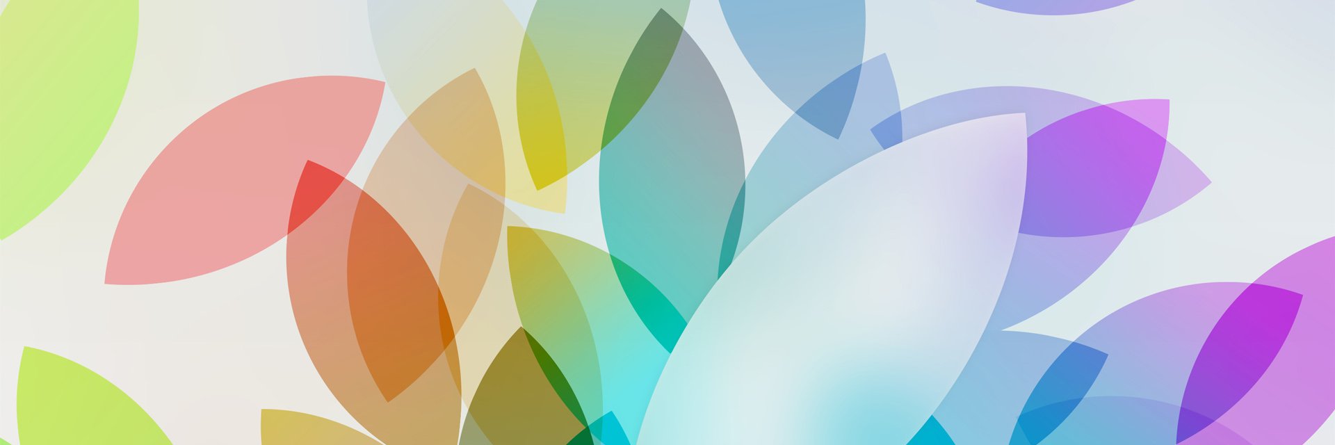 KellyjoHiggins's profile banner image
