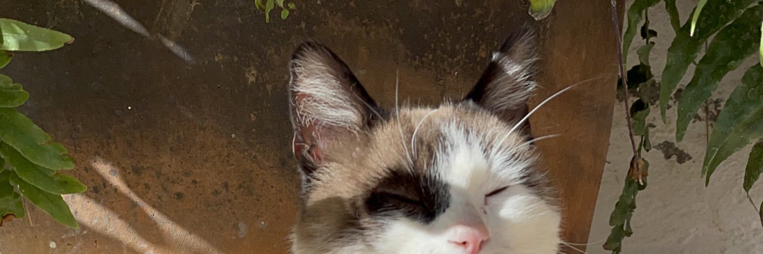 fatyroma's profile banner image
