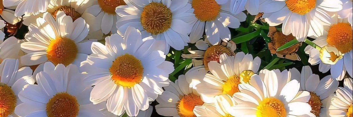 itsshaysworld's profile banner image