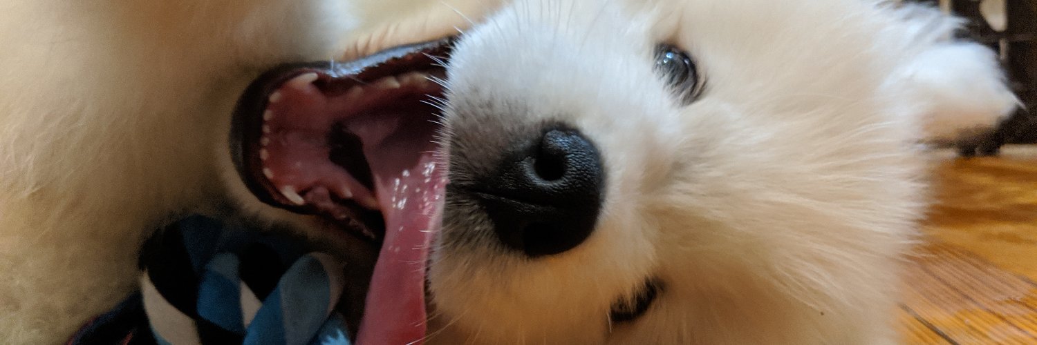 realJerrypiece's profile banner image