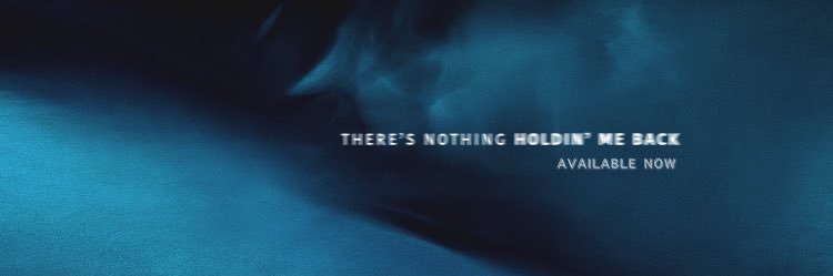 ShawnMendesMeme's profile banner image
