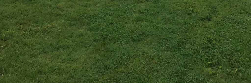 Mrs_Normie's profile banner image