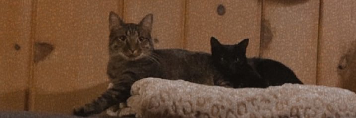 mbeard_14's profile banner image