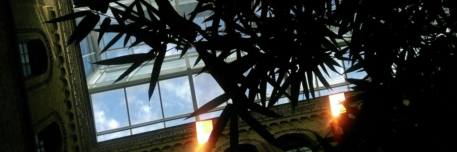 TheSuhaJee's profile banner image