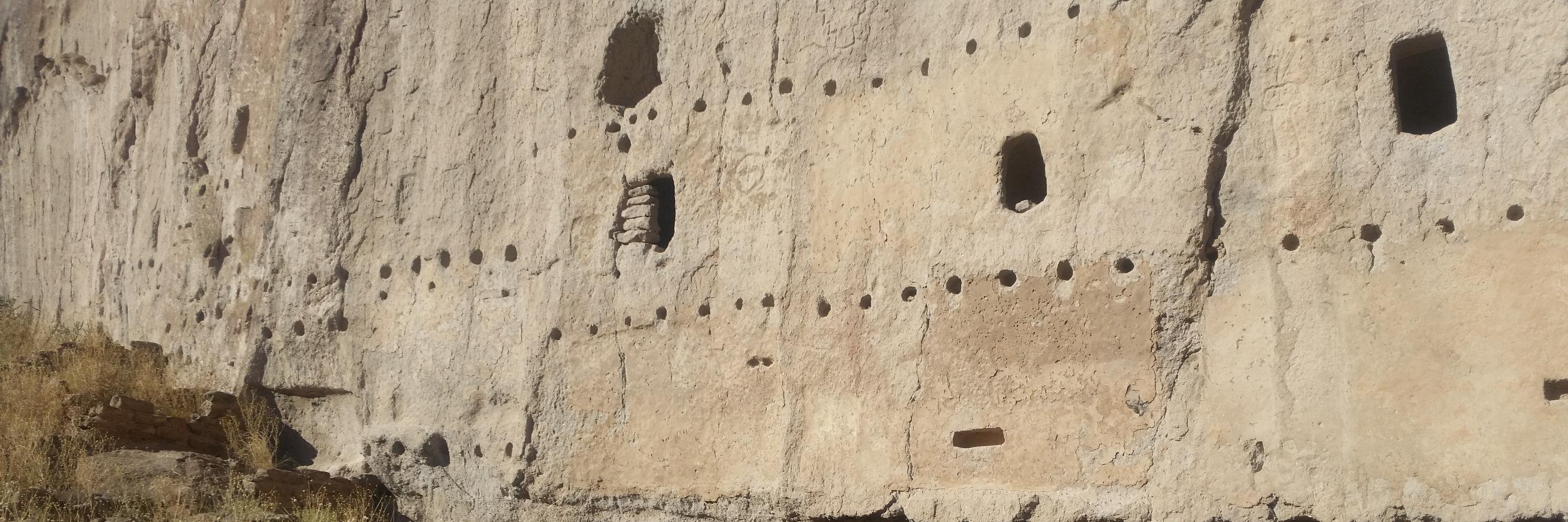 Susan Wallner banner