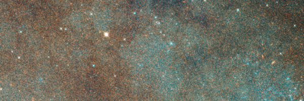 dalcantonJD Profile Banner