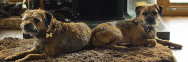 jennismithBBC Profile Banner
