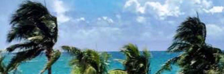 الطريق banner