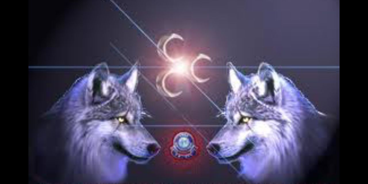 ARTopcuoglu's profile banner image