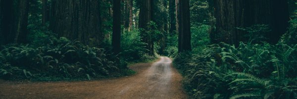 _smbns Profile Banner