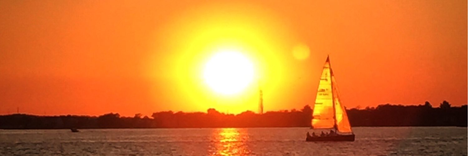moran_nancy's profile banner image