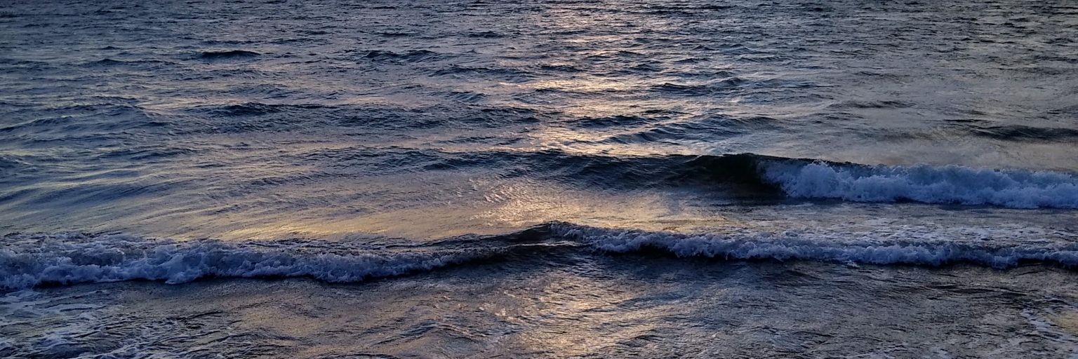 I am concerned about our Democracy banner