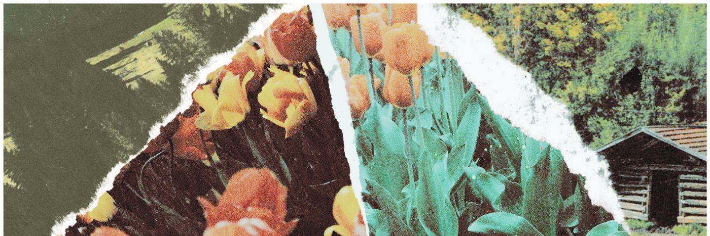 subtle mind (aviary ep out on bc) banner