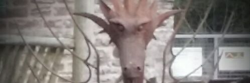 Rob Thistleton banner