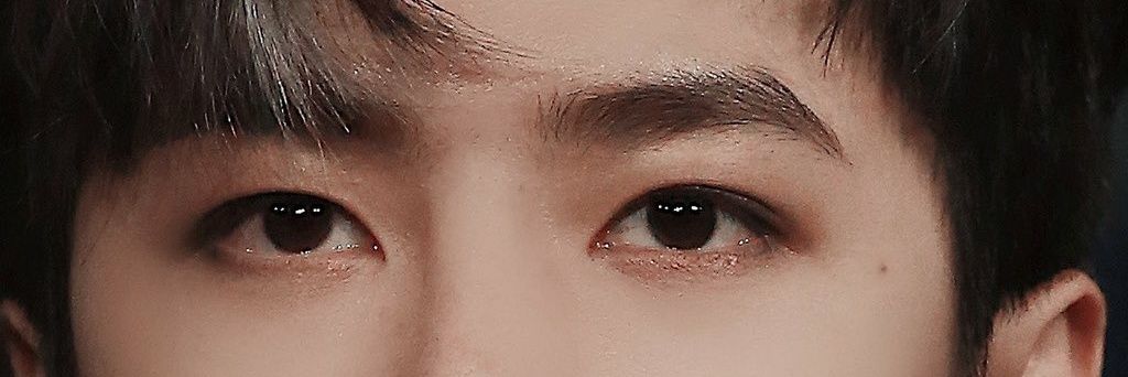 Pearl 🐷 💚 - H banner