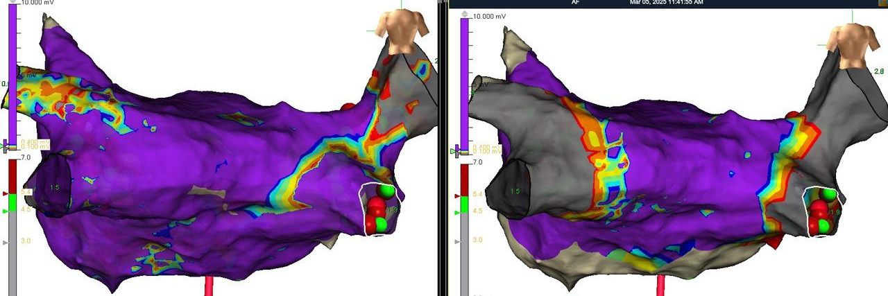 Nelson Polo Taborda banner