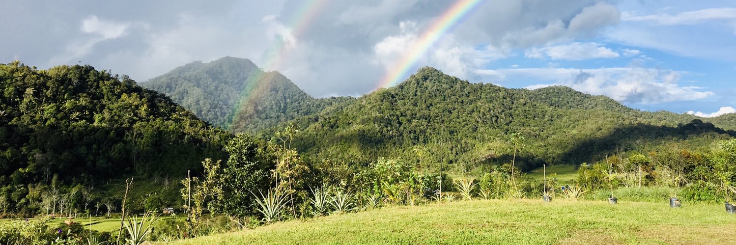 Shorna Allred banner