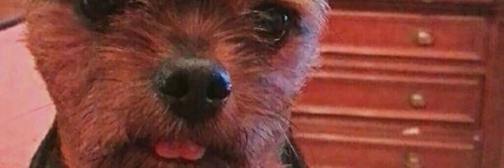 MDolores42's profile banner image