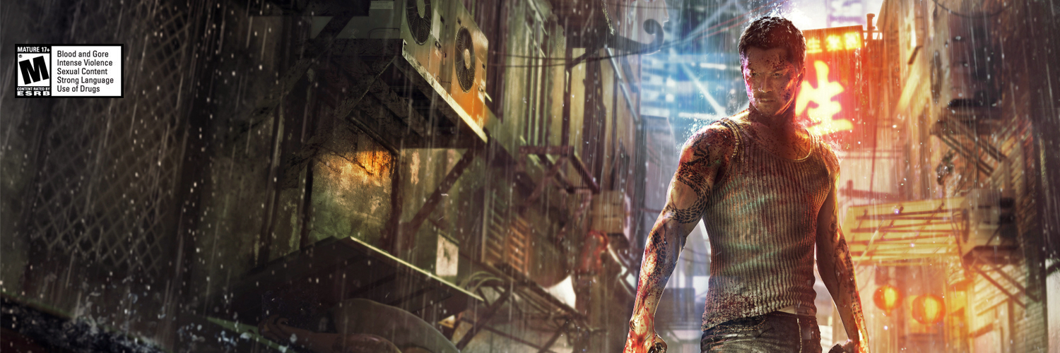 Sleeping Dogs banner