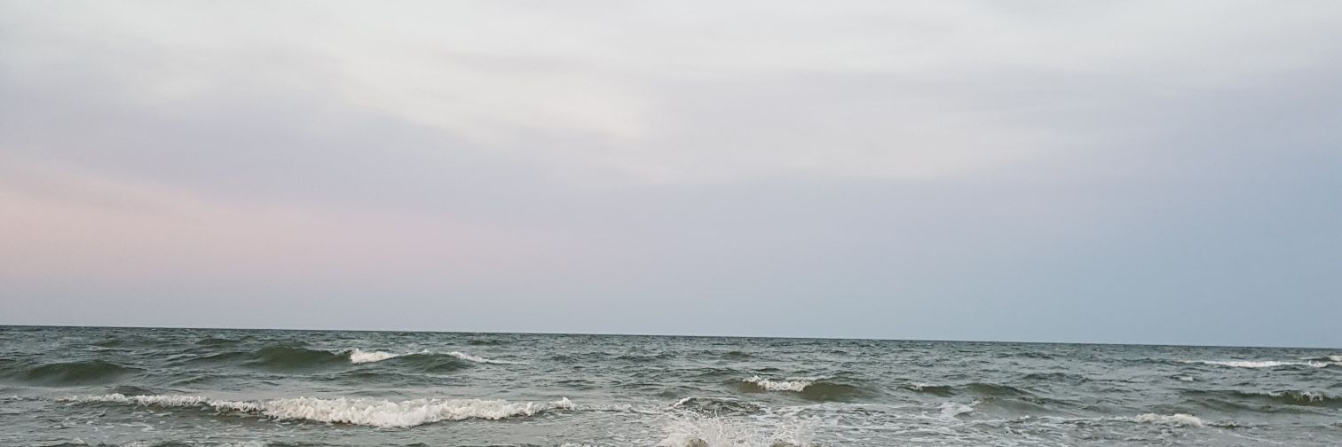 Ludde Divander banner