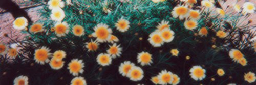 libaelias's profile banner image