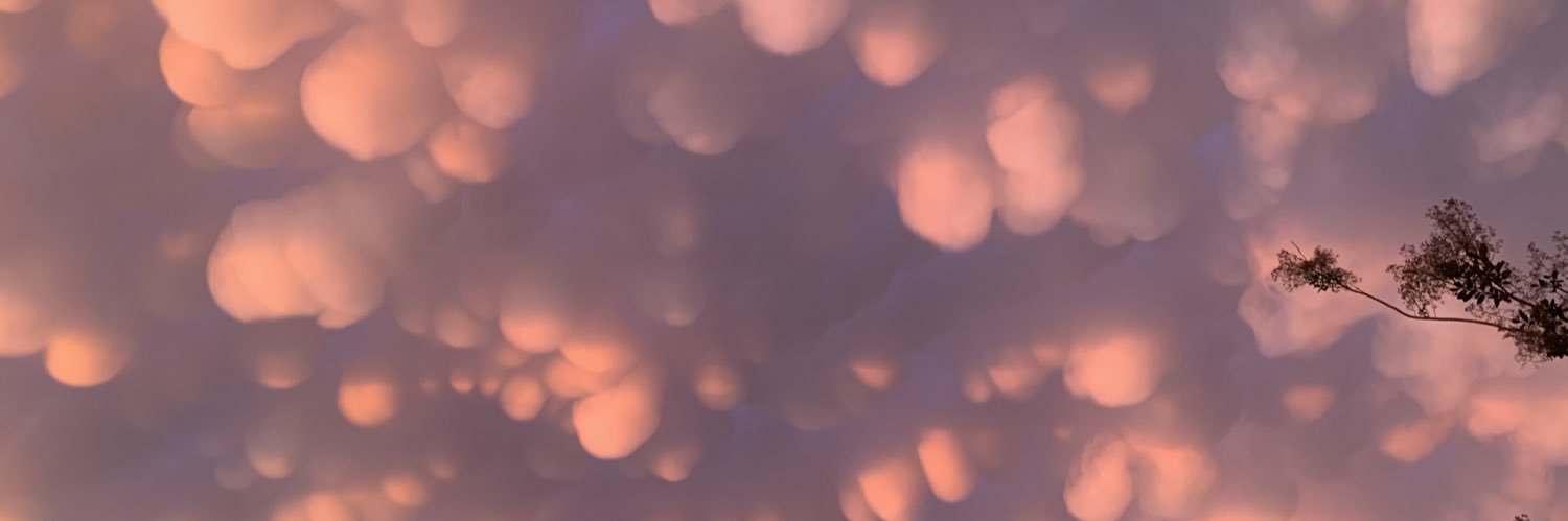 idophub's profile banner image