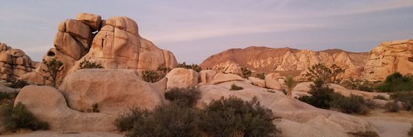 mrjeffknox Profile Banner
