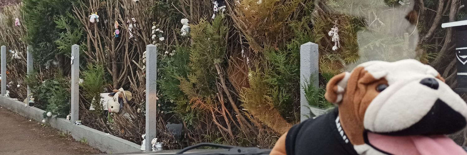 dexty67's profile banner image