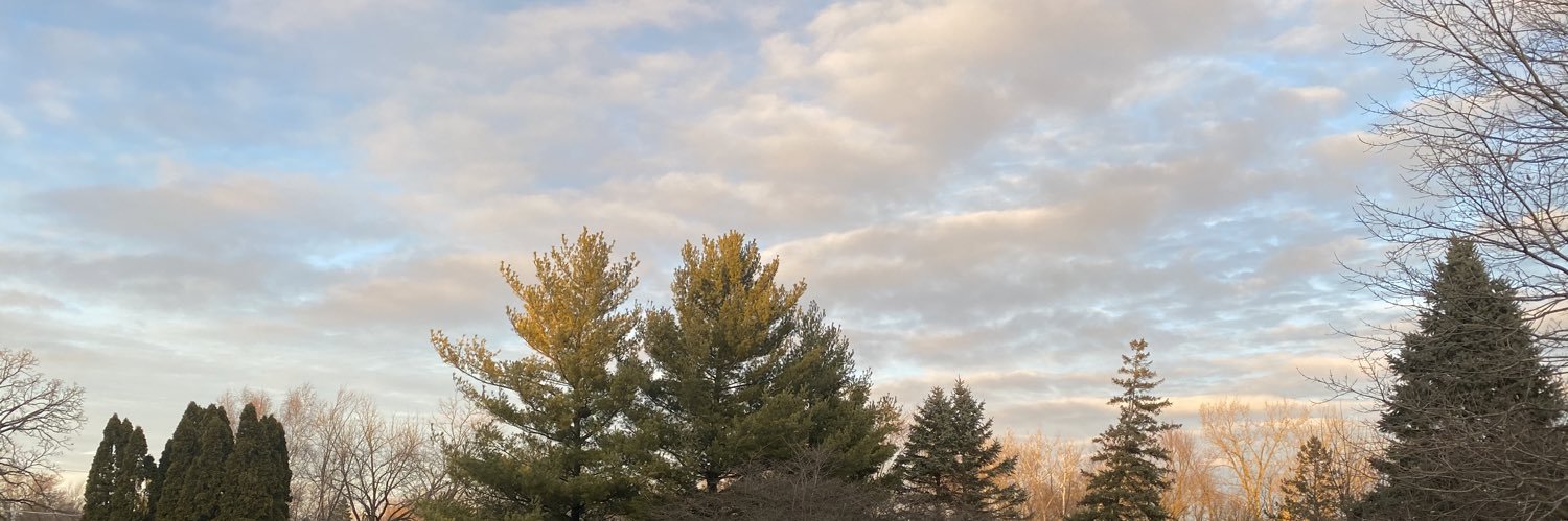 lexiev04's profile banner image