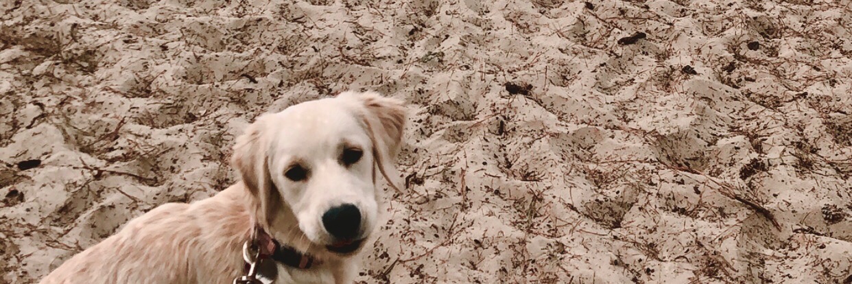 annie_jacksonnn's profile banner image