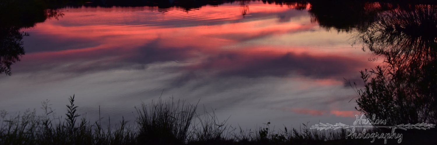 Stephanie Harlow ♍️ banner