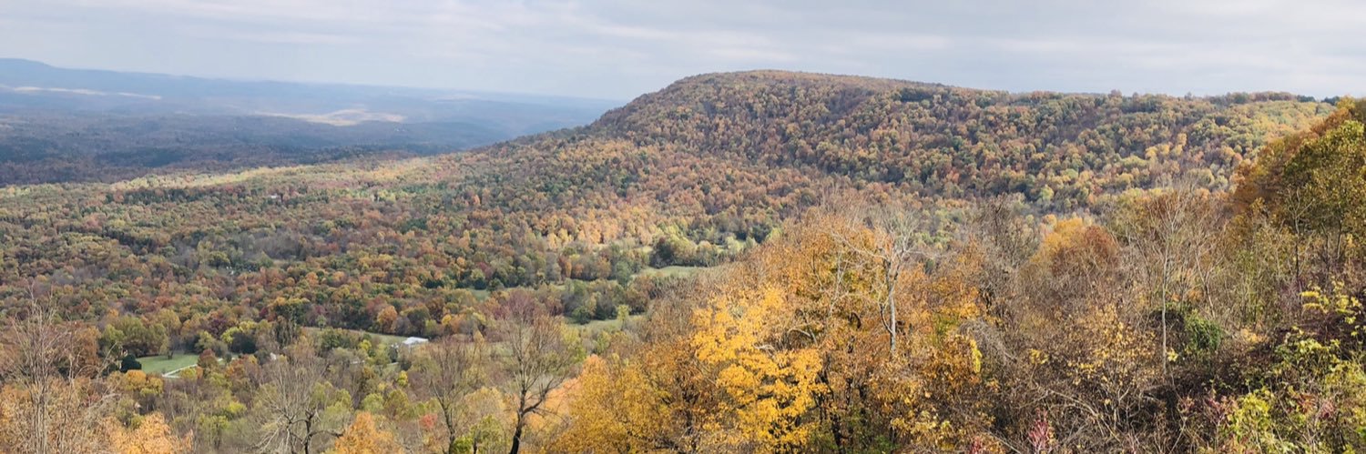 TraciHalsted's profile banner image