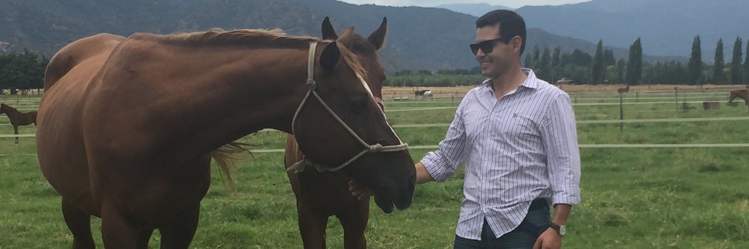 R_M_PIZARRO_V's profile banner image