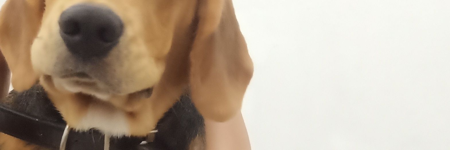 herbertmartin19's profile banner image