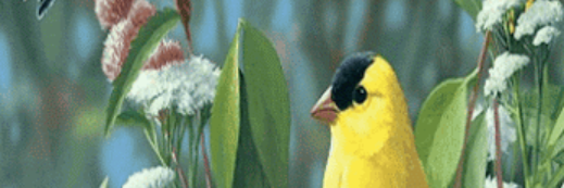 MariaElenita52's profile banner image