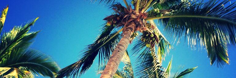 phamtastic5's profile banner image