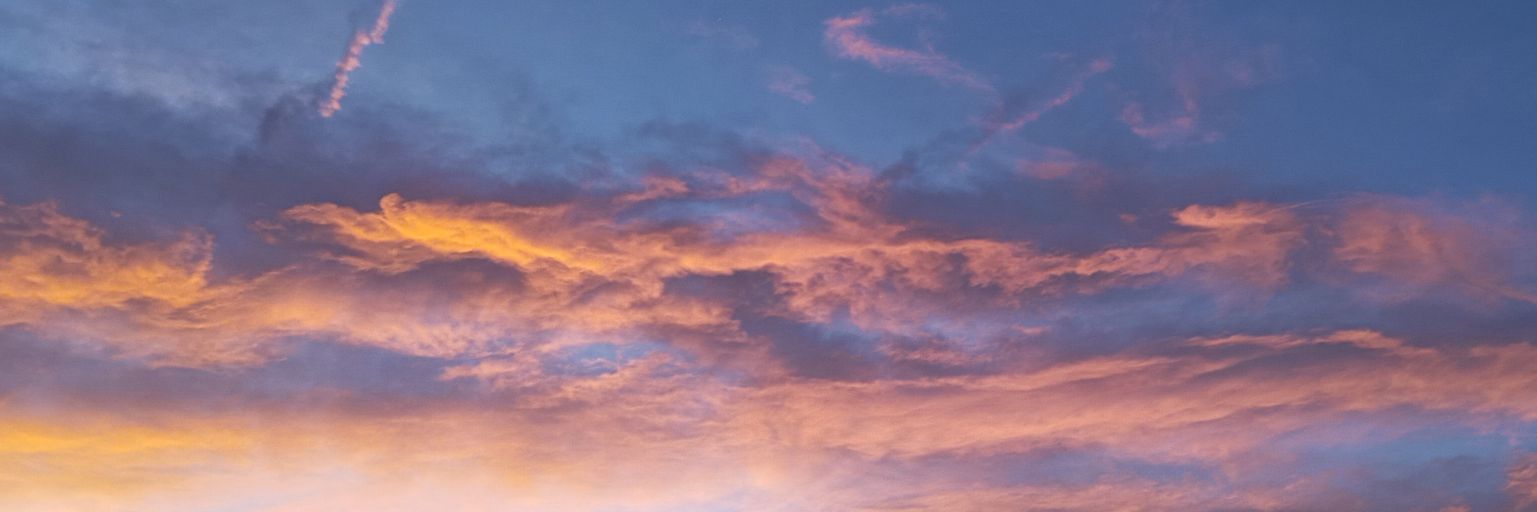 Don Lover banner