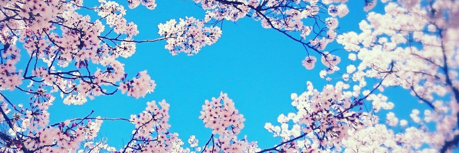 tukifune5's profile banner image