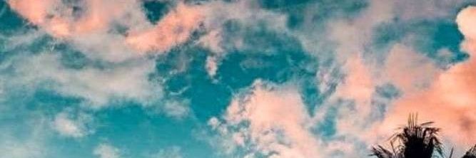Marcio_Panizzi's profile banner image