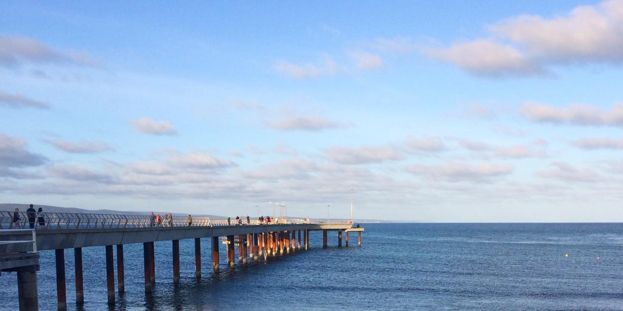 christine monk banner