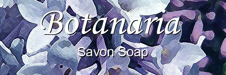 lodestonesoaps's profile banner image