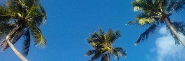 B banner