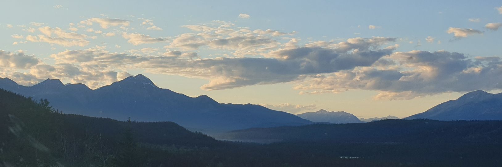 The Last Dragoon banner