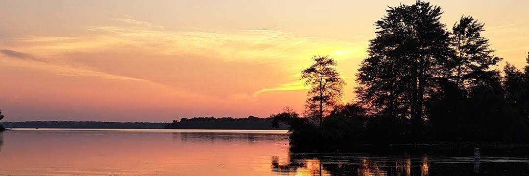 Lizerdoo 💚 💜 banner