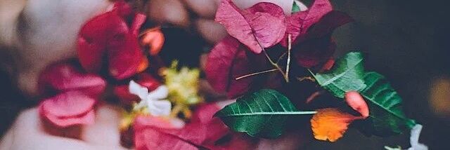 nhvgvfcd's profile banner image