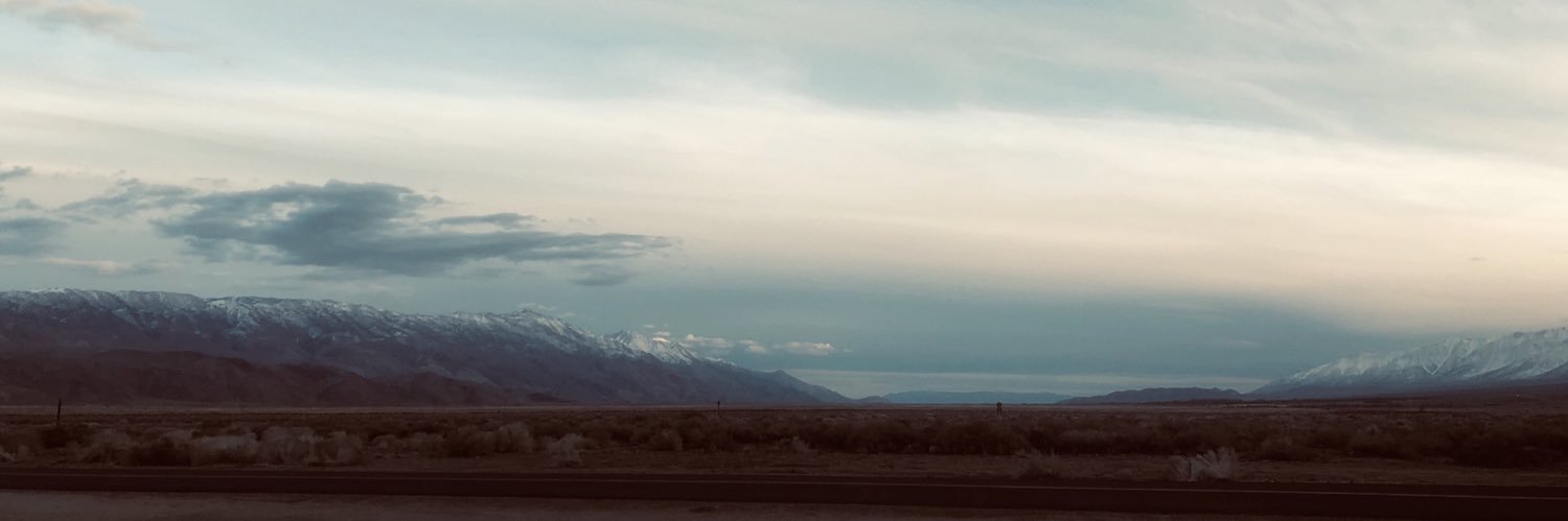 David Steinrueck banner