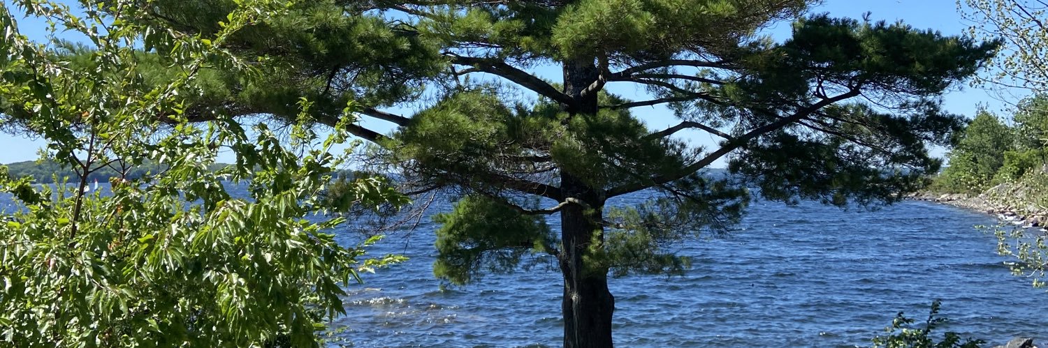 heathermartin39's profile banner image